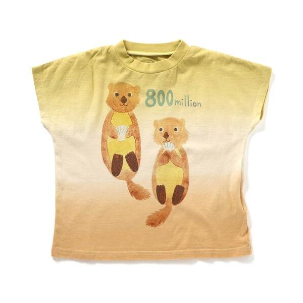 tシャツ ３柄海の動物トリビアプリントTシャツ（シール付き） キッズ 子供服 男の子