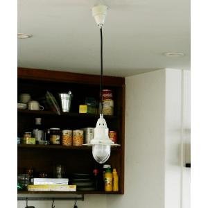 DULTON（ダルトン） LED DINOLIGHT LED ダイナライト 恐竜 T-REX T