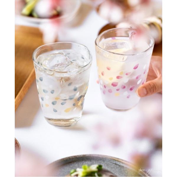 タンブラー 「ADERIA/アデリア」TEBINERI HARUIRO/手びねり はるいろ タンブラ...