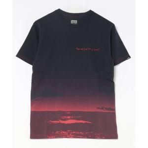 tシャツ Tシャツ メンズ VANS ヴァンズ M OTW GALLERY POETS SS TEE ショートスリーブ VN0008DDLKZ DRE｜zozo