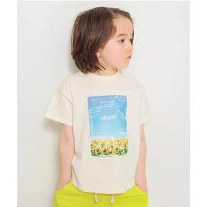 tシャツ Tシャツ キッズ フォトコラージュ半袖Tシャツ｜zozo