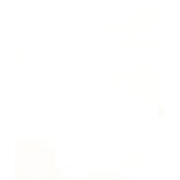 ベスト ジレ Wジップふくれジャガードビスチェ レディース