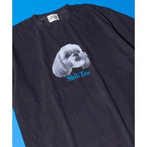 tシャツ Tシャツ メンズ 「新柄追加」「GLOSTER/グロスター」DOG＆CAT 犬猫プリント ピグメント プリントTシャツ｜ZOZOTOWN Yahoo!店