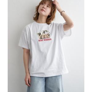 tシャツ Tシャツ レディース ベア天竺 キャットプリントTシャツ