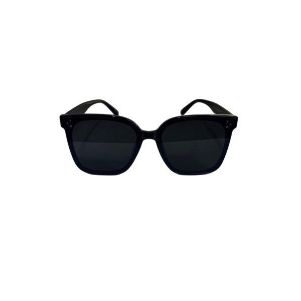 サングラス 「Chikashitsu +」big frame sunglasses 2 / 「チカシ...