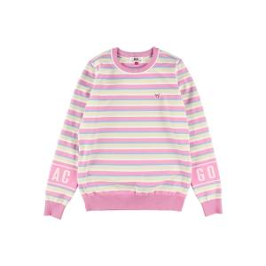 ニット セーター 「ストレッチ性」WOMENS マイクロスリームボーダー 長袖プルオーバー レディース