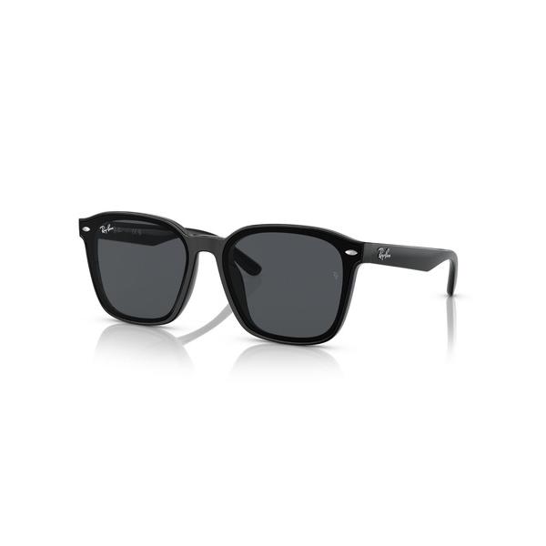 サングラス Ray-Ban レイバン サングラス RB4392D(アジアンデザインモデル・ローブリッ...