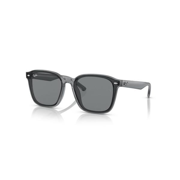 サングラス Ray-Ban レイバン サングラス RB4392D(アジアンデザインモデル・ローブリッ...
