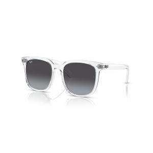 Ray-Ban（レイバン） サングラス サングラス Dmodels 0RB4379D