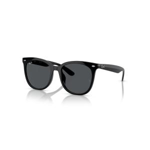 Ray-Ban サングラス レイバン Dmodels 0RB4423D (偏光レンズ