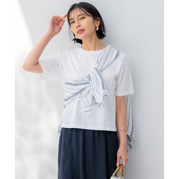 tシャツ Tシャツ レディース 「洗える」半袖 クロップド IT TEE