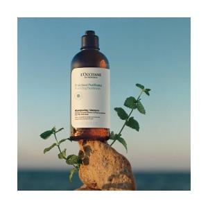 サラメンテ エテルノシャンプー 1000ml リフィル ボリューム