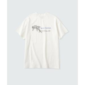 tシャツ Tシャツ メンズ 「限定展開」「WILD THINGS/ワイルドシングス」バックプリントTシャツ 刺繍 WILD CAT｜zozo