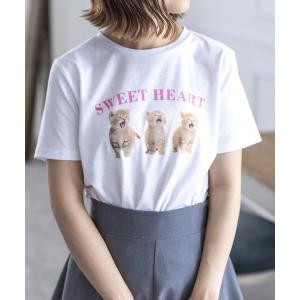 tシャツ Tシャツ レディース 猫プリント半袖Tシャツ「2024SS新作」｜zozo