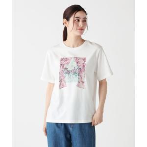 tシャツ Tシャツ レディース ミドルＴシャツ/Window/maya Shibasaki