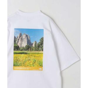 tシャツ Tシャツ メンズ 「THE NORTH FACE」 ヨセミテ シーナリー Tシャツ｜ZOZOTOWN Yahoo!店