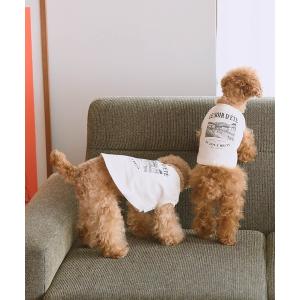 犬 服 「DOG」マウンテンプリントタンクトップ/リンクコーデ