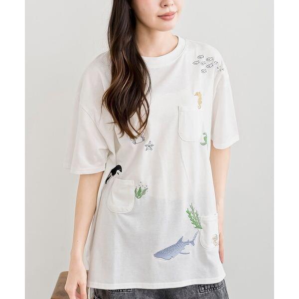 tシャツ 半袖 シーパラダイスワイドＴ レディース