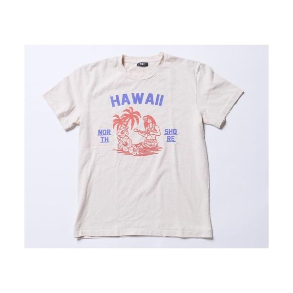 tシャツ Tシャツ メンズ DRY COTTON JERSEY S/STEE(HAWAIIAN GI...