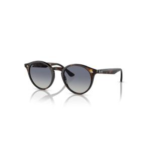 サングラス Ray-Ban レイバン サングラス 0RB2180/紫外線対策 メンズ レディース