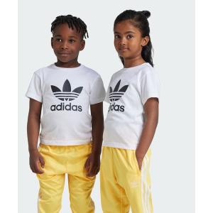 adidas（アディダス） ジャージ アディカラー ショーツ＆Tシャツ