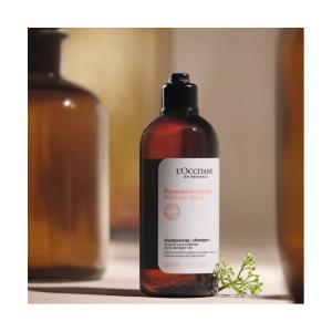 L'OCCITANE（ロクシタン） シトラスヴァーベナ アイス シャンプー