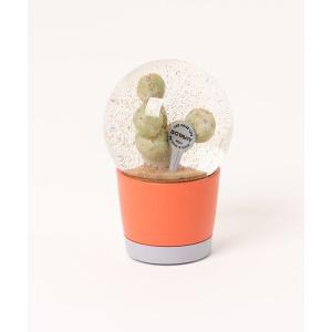 新品 未使用品 DULTON ダルトン PLANTS WATER GLOBE DULTON（ダルトン） インテリア PLANTS WATER GLOBE/ プランツ