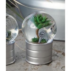 DULTON（ダルトン） PLANTS WATER GLOBE プランツ ウォーター グローブ
