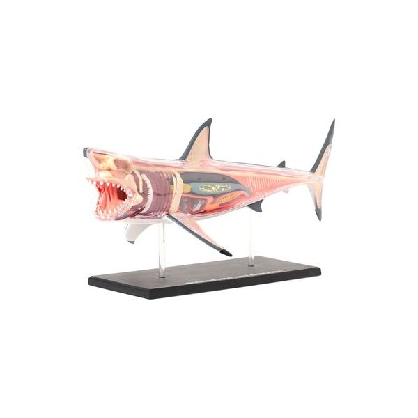 インテリア 4D MASTER / ANIMAL ANATOMY