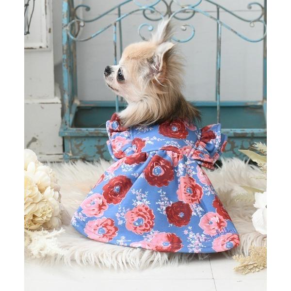 犬 服 LAURA ASHLEY/裏起毛ダブルフリルワンピース