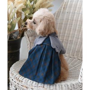 犬 服 One Octave/ボレロ付ワンピの商品画像