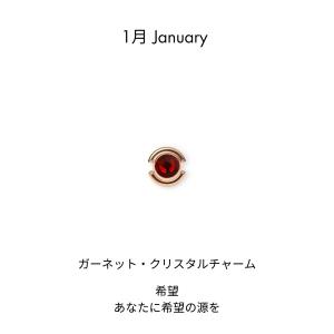 チャーム Birthday Charm 誕生石 ...の商品画像