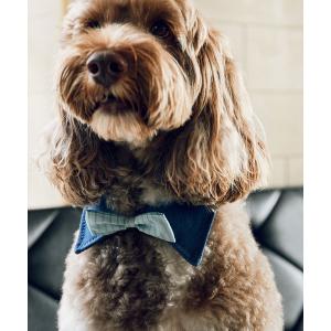 犬 服 「comif(コミフ)×ROPE' PICNIC」「DOG」襟付き蝶ネクタイ