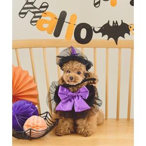 犬 服 「DOG」ハロウィン魔女セット