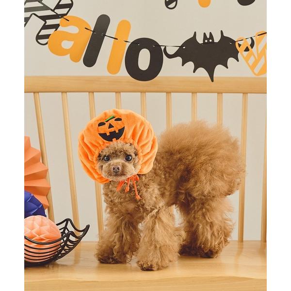 犬 服 「DOG」ハロウィンかぼちゃ