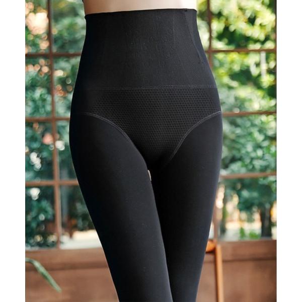 タイツ 裏起毛 ガードル フェイク タイツ レディース