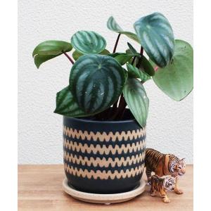 花瓶 3.5号 インナ