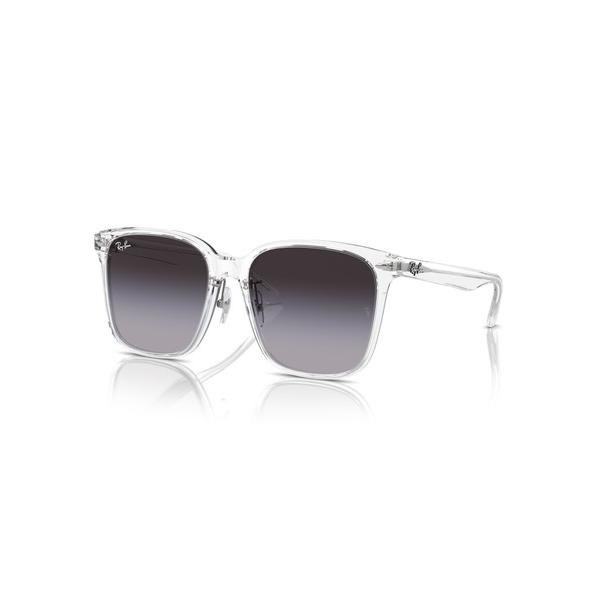 サングラス Ray-Ban レイバン サングラス Dmodels 0RB2206D (アジアンデザイ...