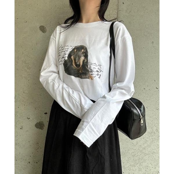 tシャツ DOG英字プリントロングTシャツ レディース