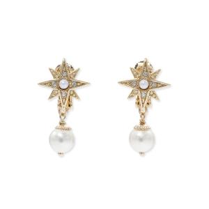 イヤリング エトワール イヤリング レディースの買取情報