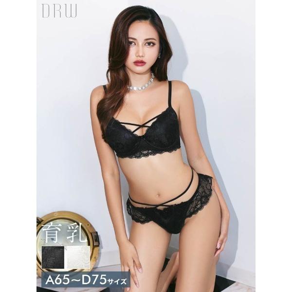 ブラジャー ショーツセット ガーリー フリル レーシィ コード 育乳 脇高 ブラジャー ＆ バック透...