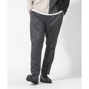 パンツ 「BLUE STANDARD/ブルースタ...の商品画像