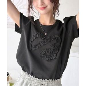 tシャツ 半袖 フリル刺繍でエレガントに。シルケット風フリル刺繍パフスリーブプルオーバー（半袖） レディース