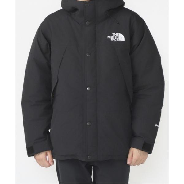 ダウンジャケット ダウン ザ ノース フェイス THE NORTH FACE Mountain Do...