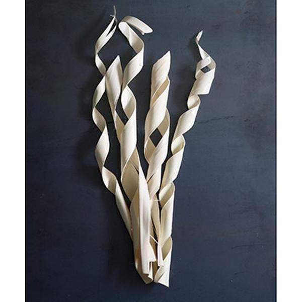 インテリア CASTO SUN PALM ROLL