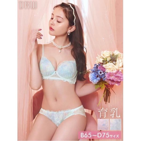 ブラジャー ショーツセット チャーミング レーシィ フルール 育乳 脇高 ブラジャー ＆ フルバック...