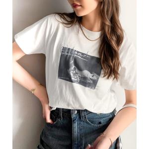 tシャツ 大人が着る高級感のあるカジュアルアイテム。綿100％シルケット風猫フォト箔×刺繍T レディース