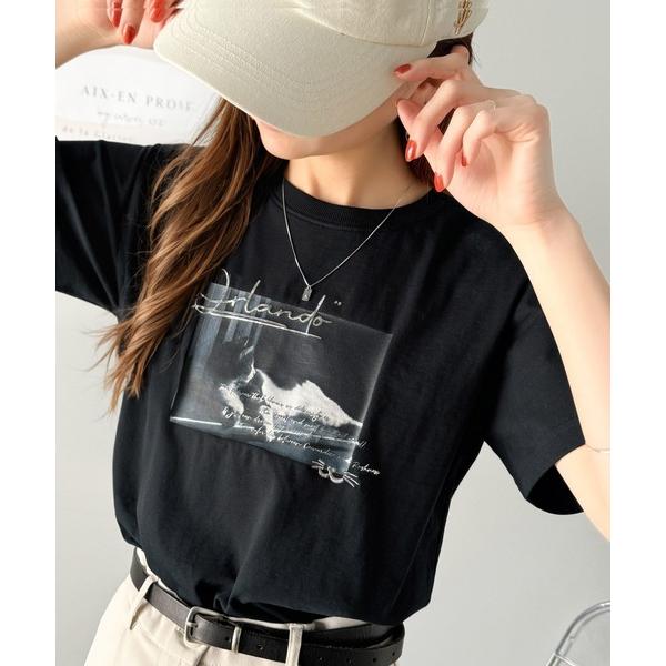 tシャツ 大人が着る高級感のあるカジュアルアイテム。綿100％シルケット風猫フォト箔×刺繍T レディ...