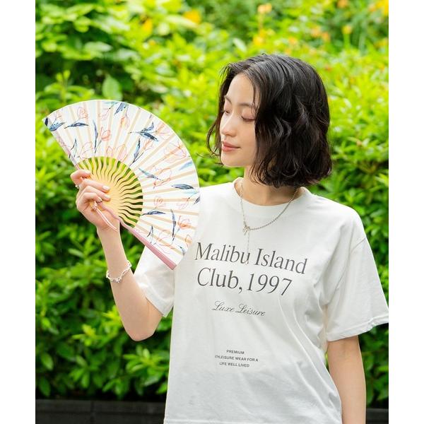 扇子 うちわ Wpc. Patterns ギフトボックス入り扇子 ウェーブタイプ