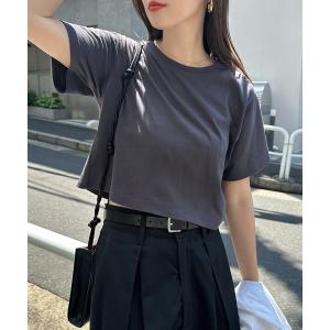 tシャツ 半袖 コットンミニTシャツ レディースの商品画像